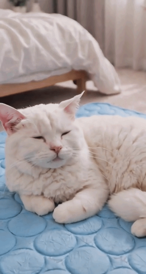 ChillPet